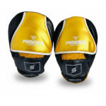 KickBoxing Mitts - Premium PU Leather Punching Pads for Boxing, MMA, and Martial Arts Training - Black & Golden - One Size, Shock-Absorbent & Durable